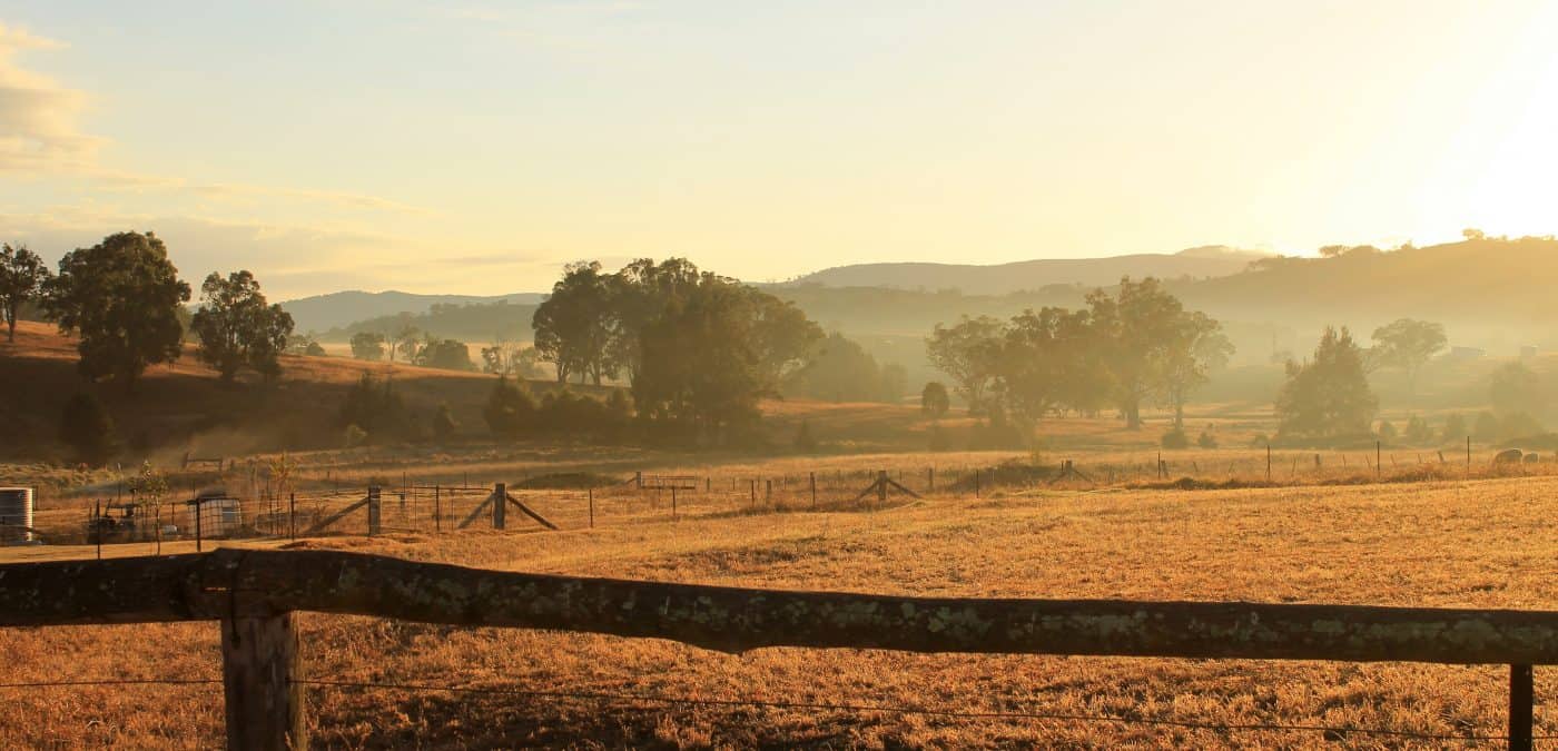 Sunrise at a sheep farm in Nundle, New South Wales Australia