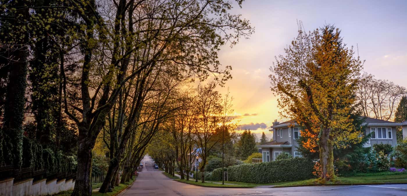 Serene suburban street houses with golden trees