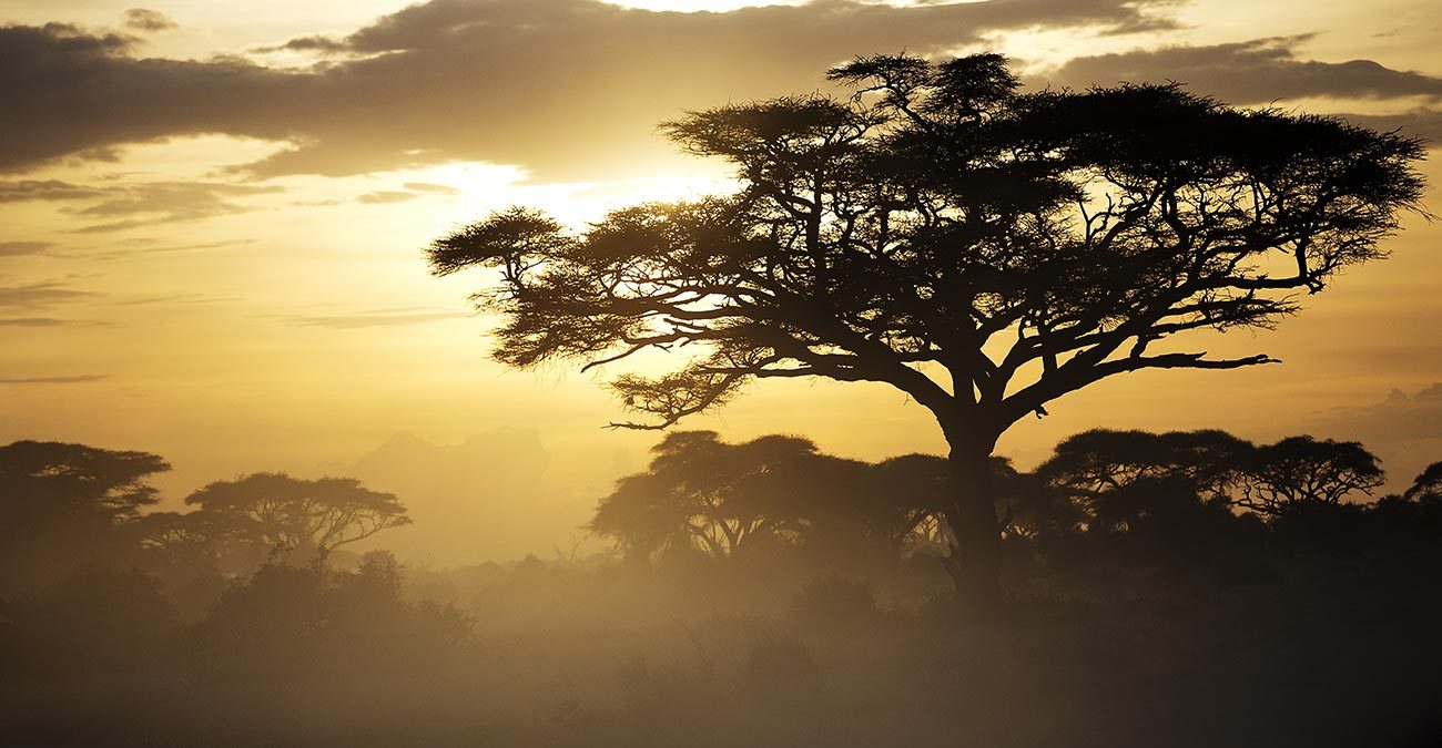 Beautiful sunset in Amboseli National park