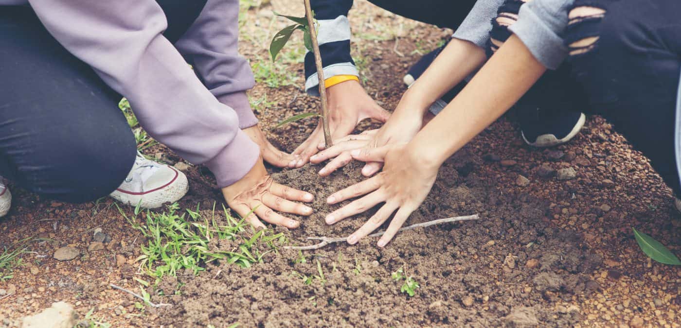 Volunteering in retirement