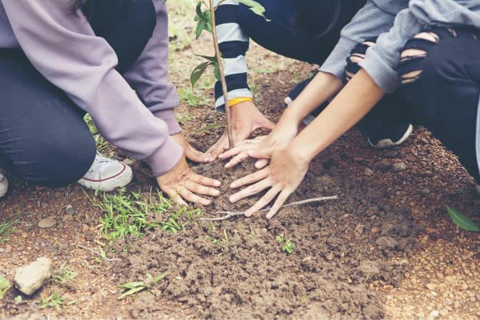 Volunteering in retirement