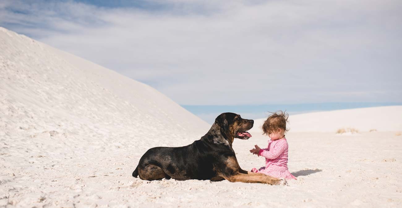 baby girl with dog on the beach