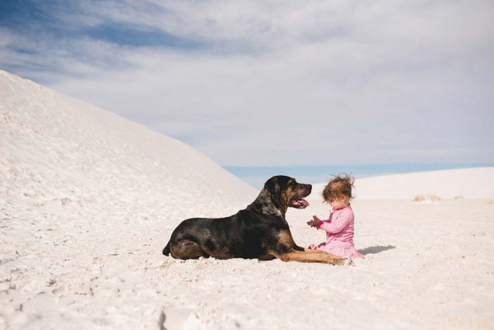 baby girl with dog on the beach