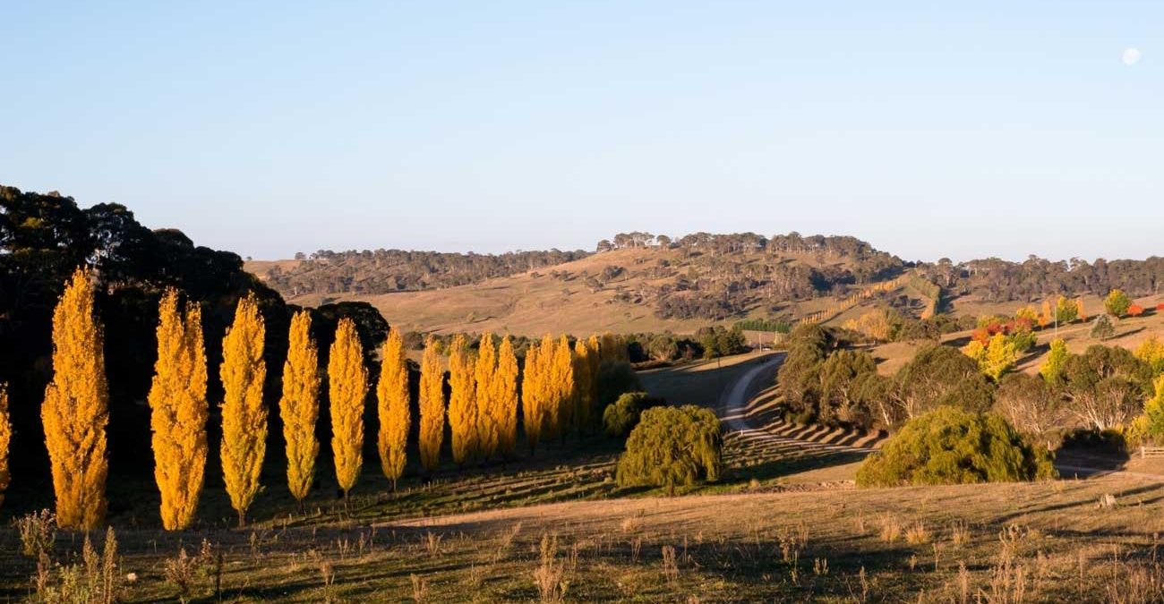 Armidale views