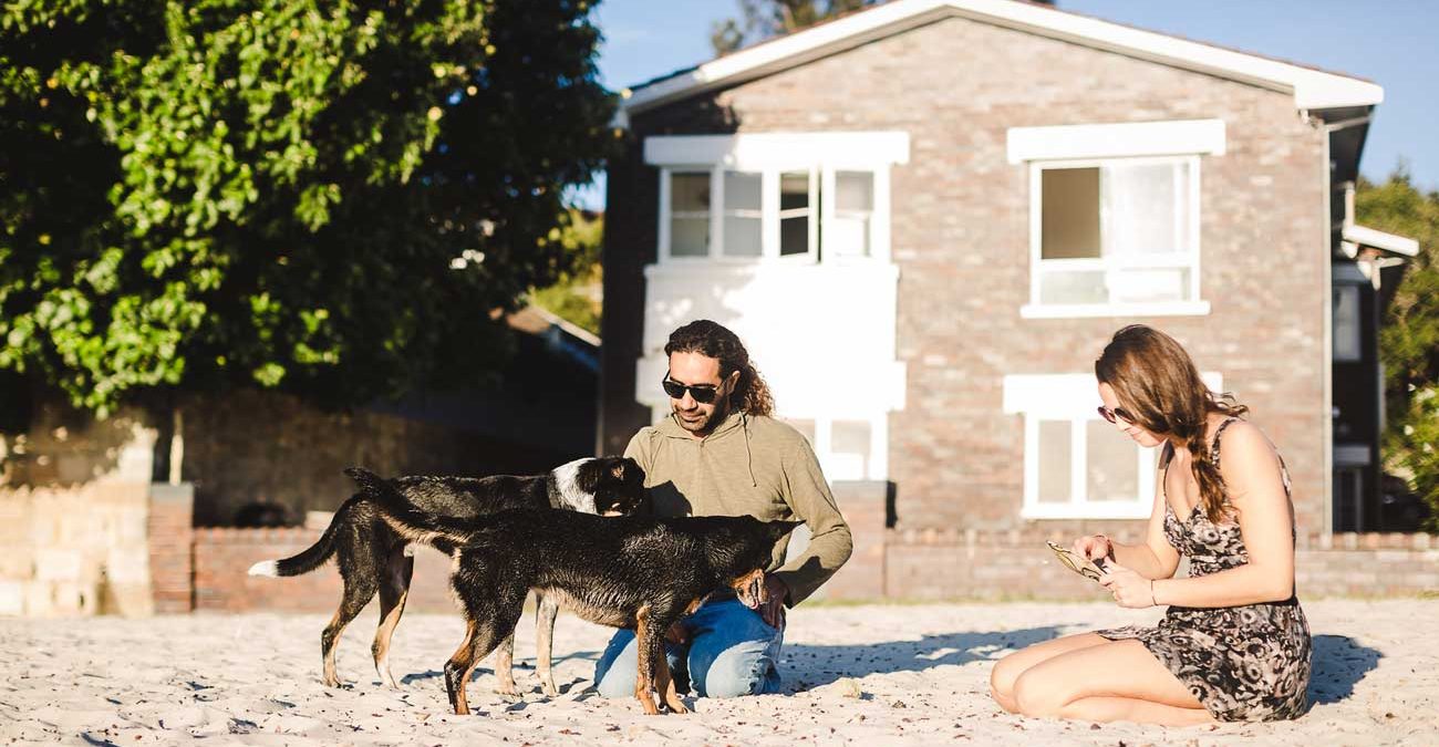 on beach with dogs