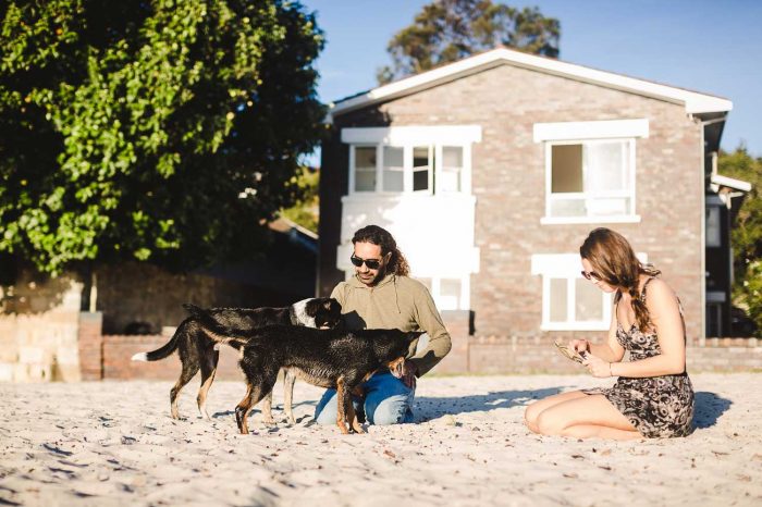 on beach with dogs