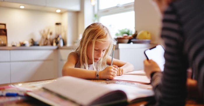 working and home schooling