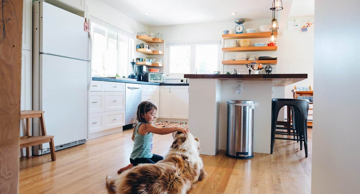 child playing with dog on the kitchen floor