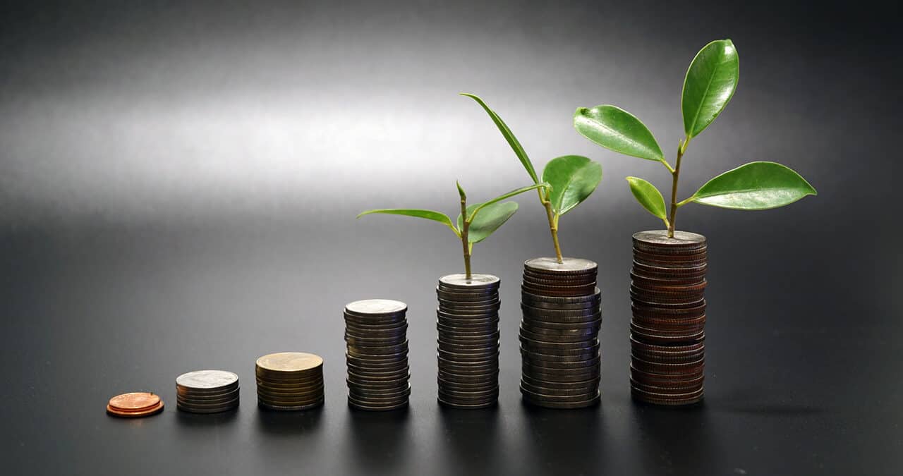 market update magic money tree main