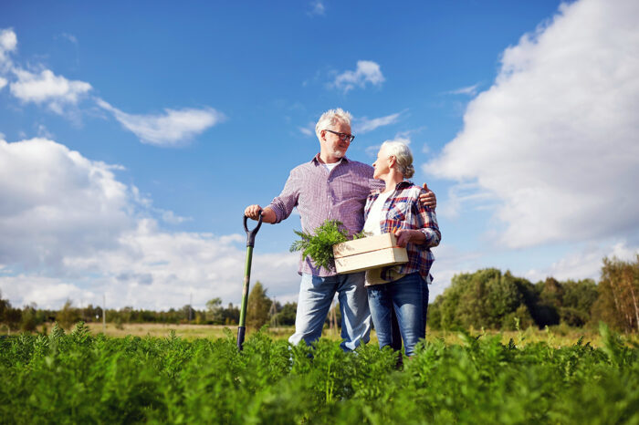 Sowing the seeds for a happy retirement main